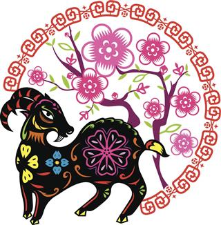 Chinese Black Lucky Goat