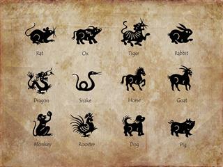 Twelve animals of the chinese zodiac