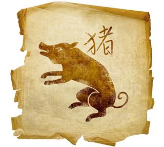 Chinese Zodiac Pig Sign