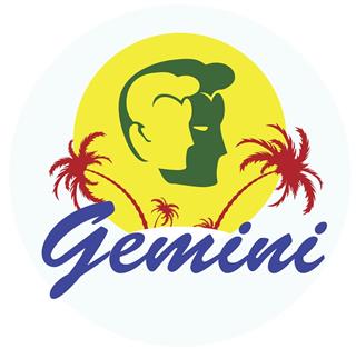 Zodiac sign gemini with palm trees