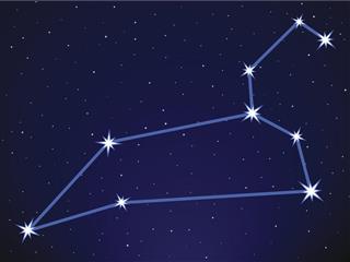 Leo constellation in night