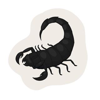 Black Scorpion Vector
