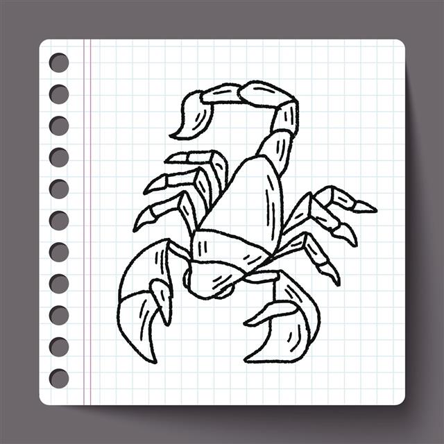 Scorpion Doodle