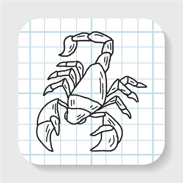 Scorpion Doodle