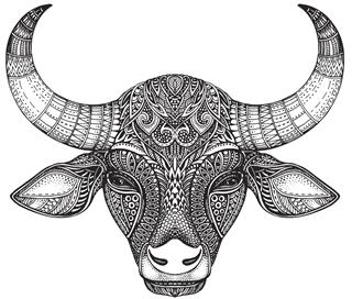 Patterned head of the bull