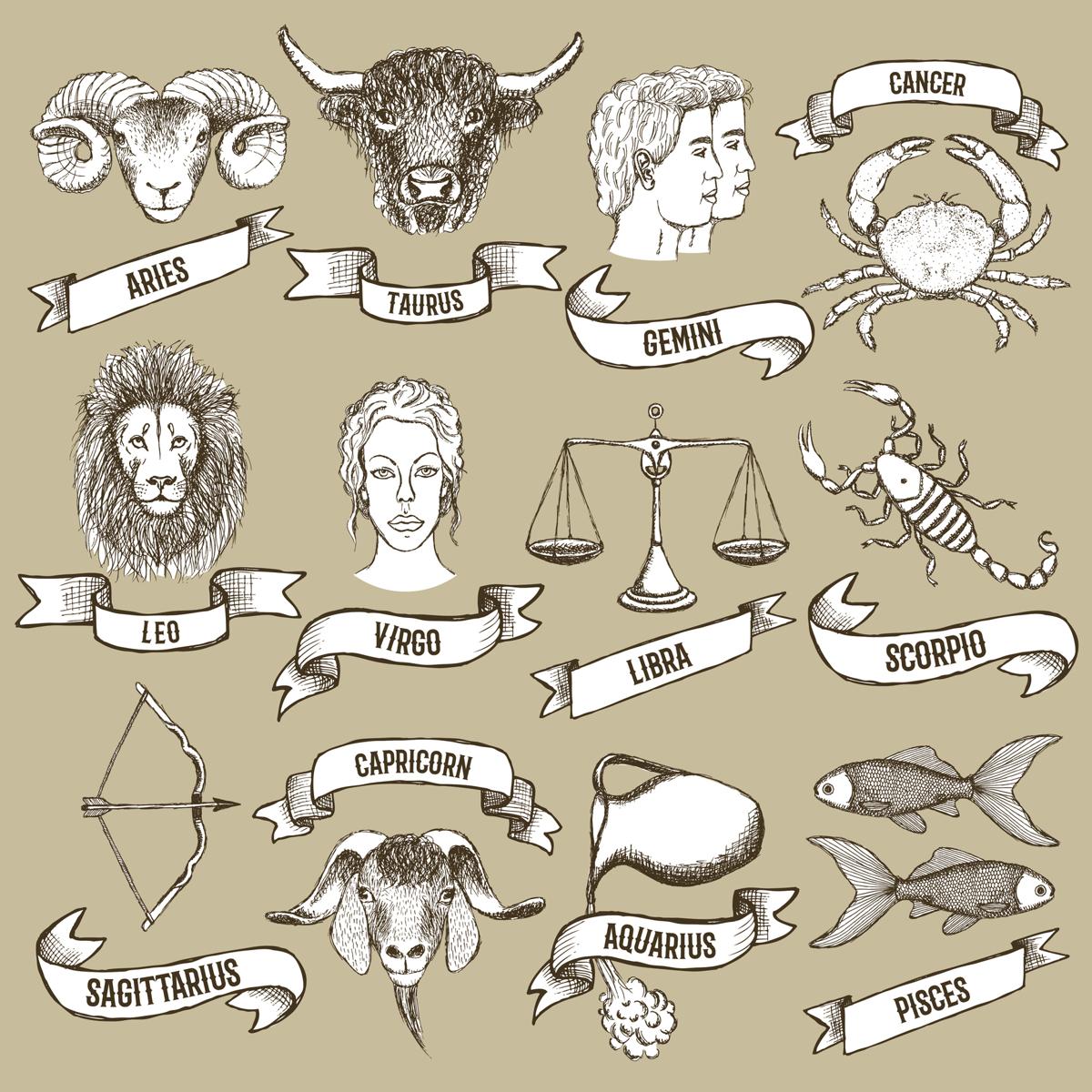 different type of astrology signs