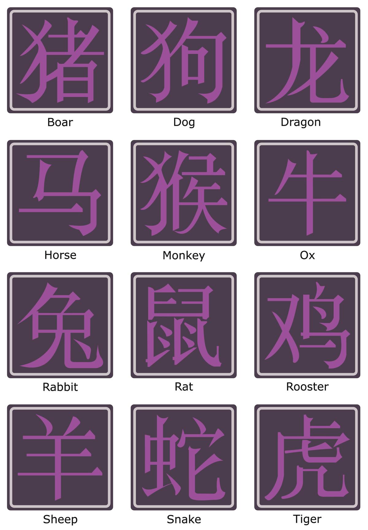 Chinese Zodiac Sign 1995