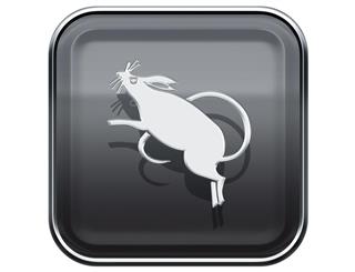 Rat Zodiac Sign