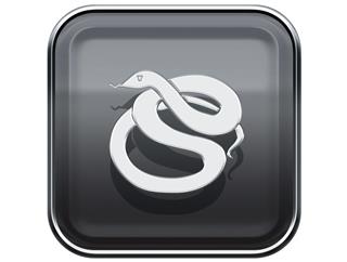 Snake Zodiac Sign