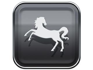 Horse Zodiac Sign