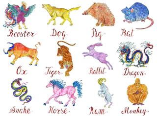 Colorful zodiac animals set
