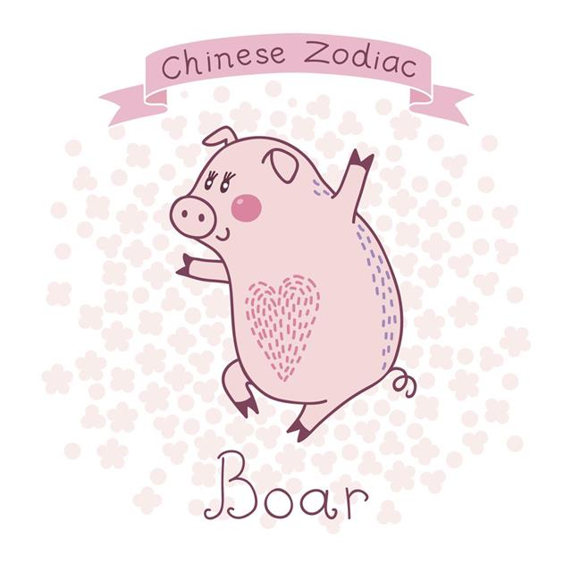 Chinese Zodiac Animal Boar