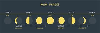 Moon Phases Southern Hemisphere