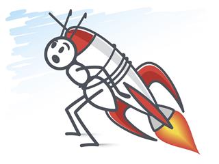 Ant riding a rocket