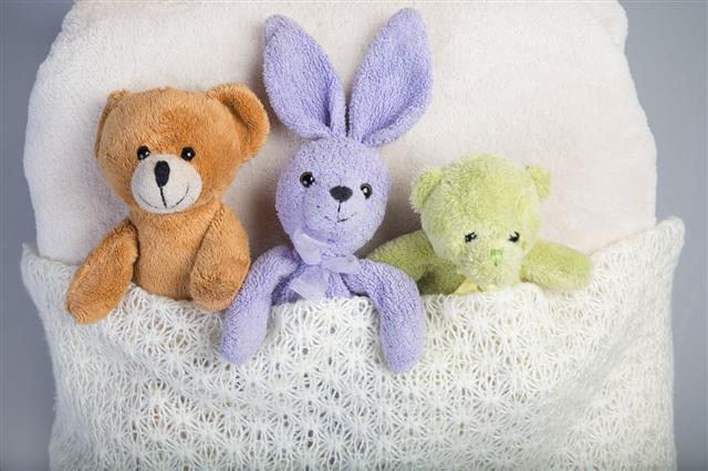 Plush Toys In A Bed