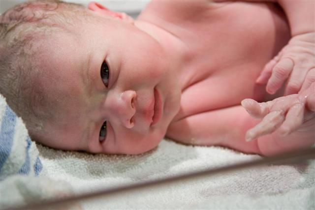 Newborn Baby Girl