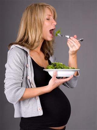 Pregnancy Healthy Diet