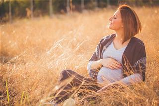 Pregnancy,Human Abdomen