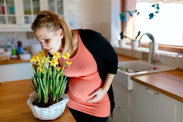 Pregnant woman taking care of flowers