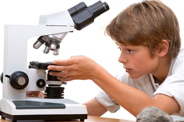 Student Working With Microscope