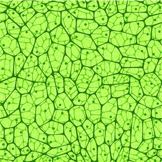 Biological Cells Seamless Pattern