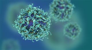 T Cell Background