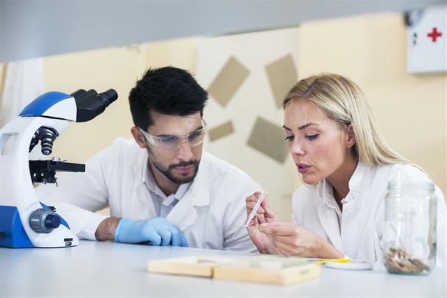 Two Scientist Working In Laboratory