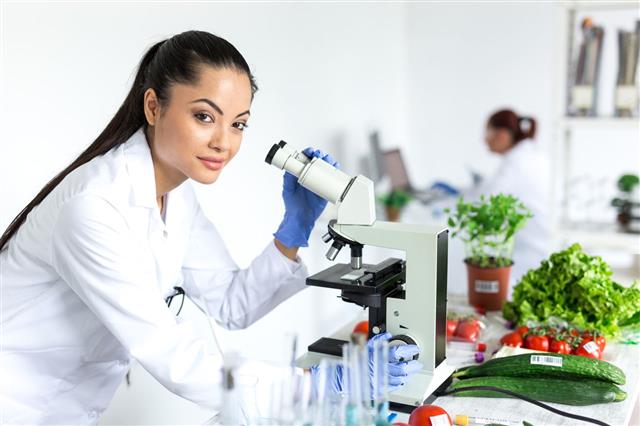Female Laboratory Worker Using Microscope