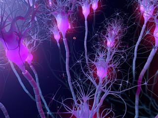 Active Neuron Cells Synapse Network
