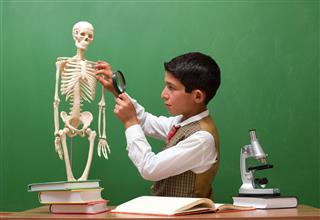 Boy With Human Skeleton