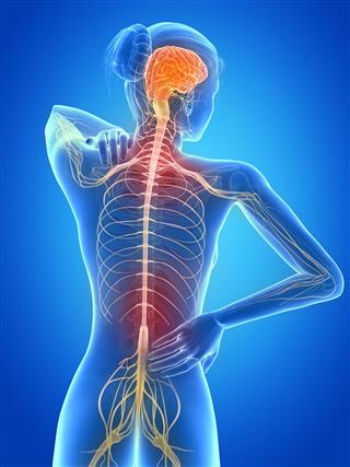 Painful Back Nerves