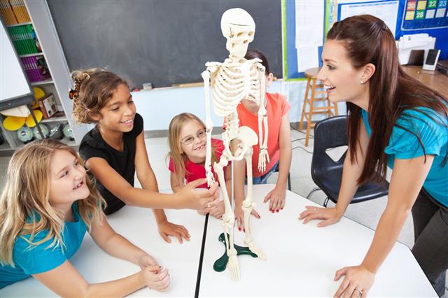 Students Learning Using Human Skeleton Model