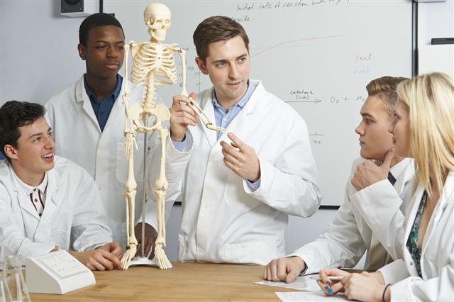 Teacher With Model Of Human Skeleton
