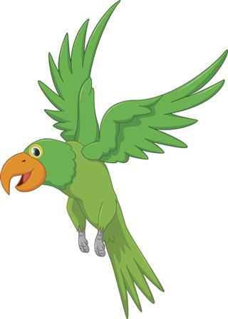 Cute parrot cartoon flying