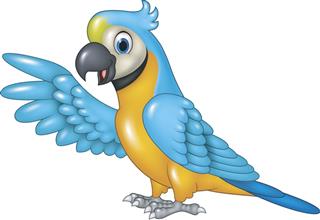 Cartoon funny macaw presenting