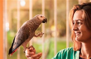 Young happy woman holding a gray parrot on her hand
