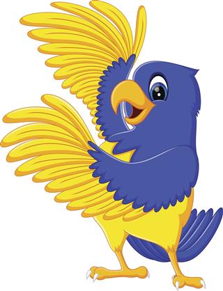 macaw cartoon