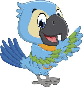 Blue Cartoon macaw