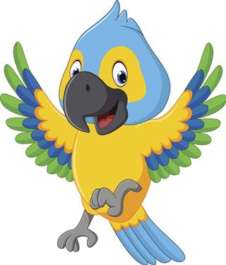 Cartoon macaw