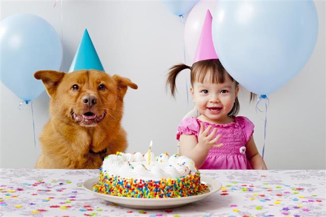 Birthday party with pet