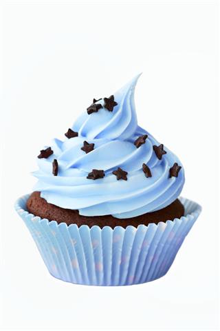 Chocolate Cupcake With Blue Frosting
