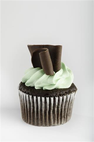 Chocolate Cupcake With Mint Frosting