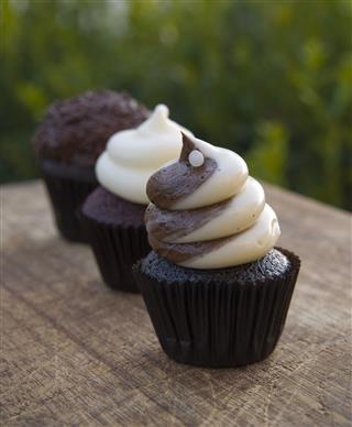 Chocolate Vanilla Gourmet Cupcakes