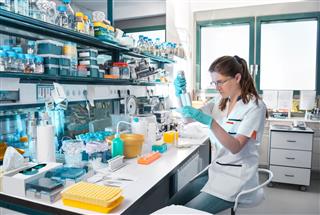 Young Scientist Works In Modern Laboratory