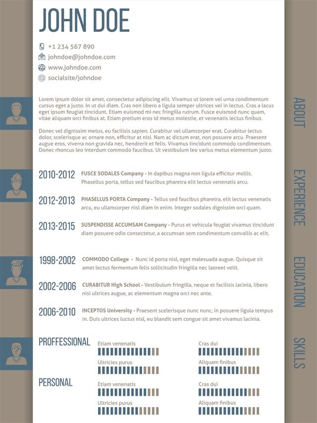 Cv Resume Template With Side Categories