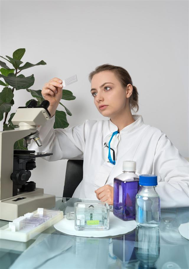 Female Microscopist Selects A Tissue Sample