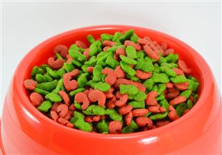 Cat Food In Red Bowl