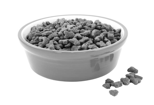 Dry Cat Food In Bowl