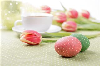 Painted Eggs And Tulips