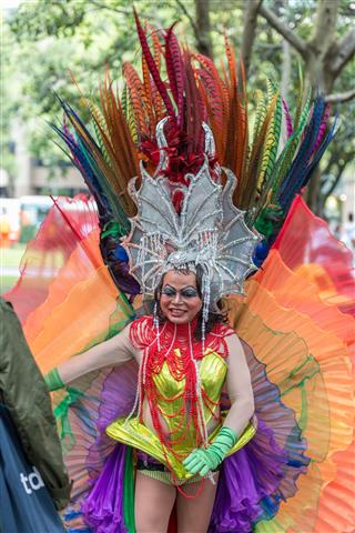 Transgender On Mardi Gras